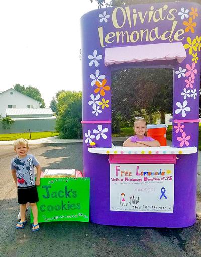 Local girl uses lemonade stand to raise money for Alzheimer's | Local ...