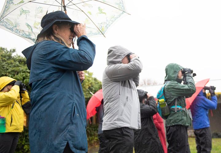 svh-202211xx-news-Bird-Watching-1.jpg