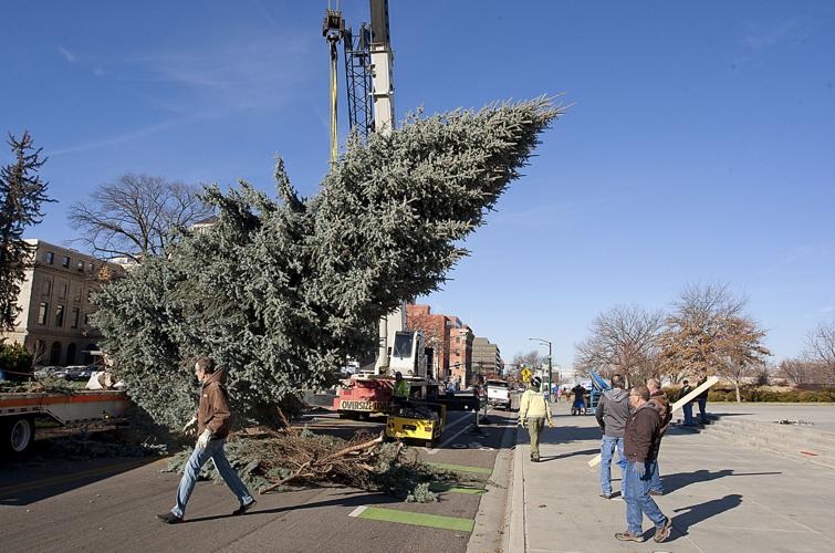 Capitol Christmas Tree