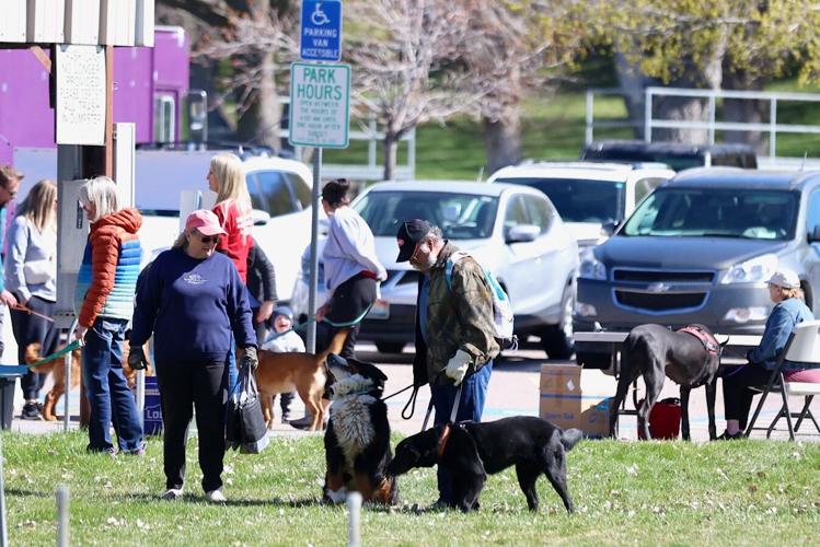 Photos of Run with the Big Dogs at Ross Park in Pocatello | Local ...