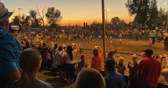 Little Buckaroo Rodeo marks 60 years of community tradition in Firth