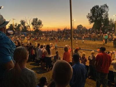 Rodeo Firth Pic
