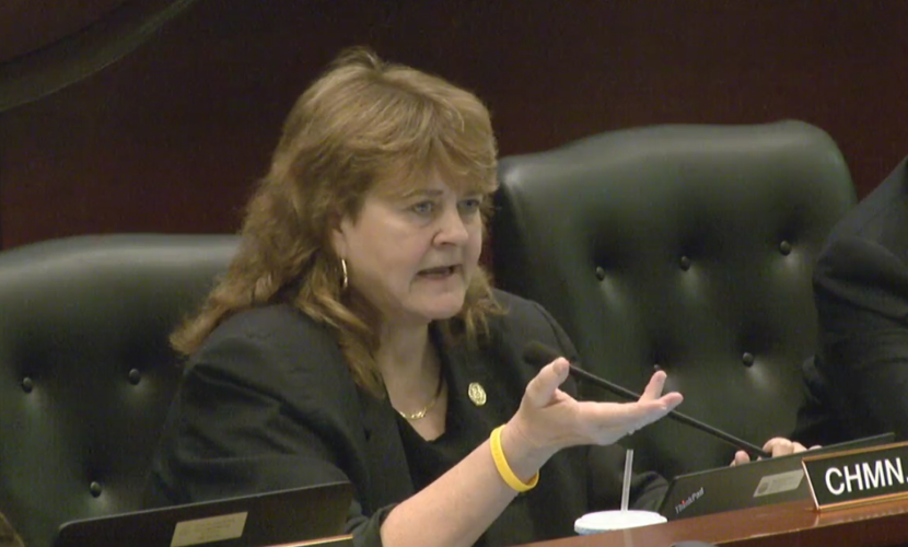 Rep. Barbara Ehardt screenshot (copy)