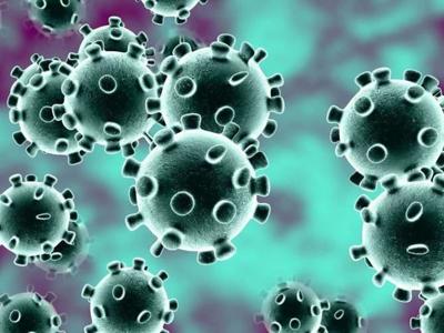 virus