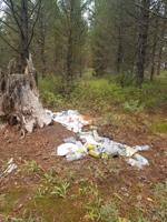 Island Park trash