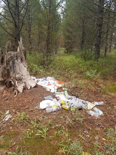 Island Park trash