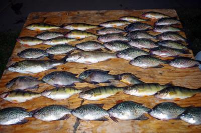 Crappie Fishing