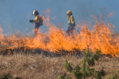 Wildfire brush fire stock image file photo