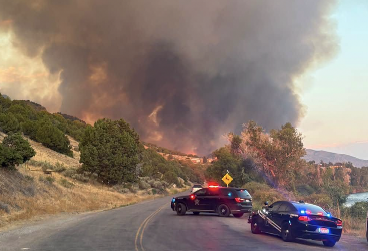 Wildfire