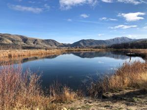 What to do this week in East Idaho