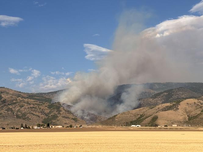 Wildfire