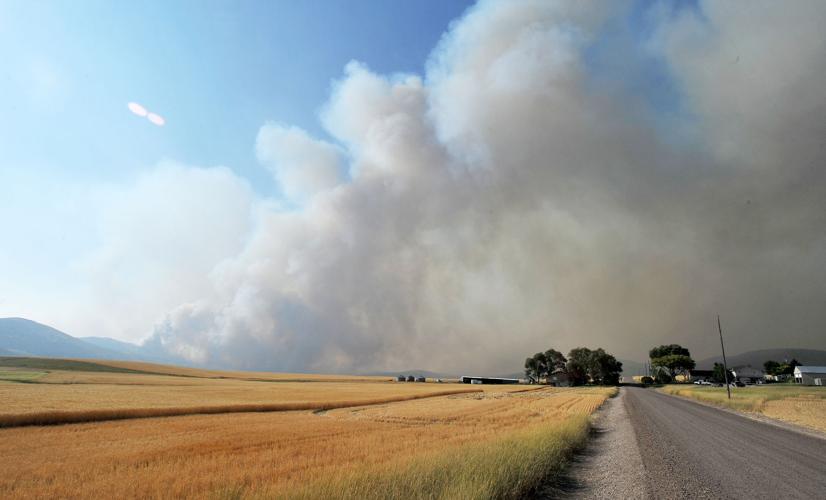 Powerline Fire in Arbon Valley News