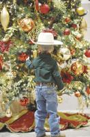 Festival of Trees 2018 opening to public Nov. 28