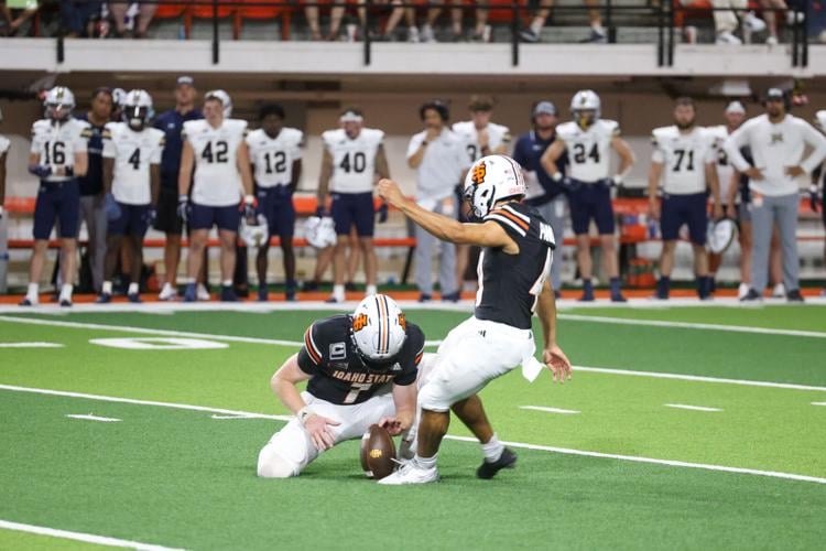 Idaho State football (copy)