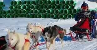 American Dog Derby's purse overflowing, highest in years