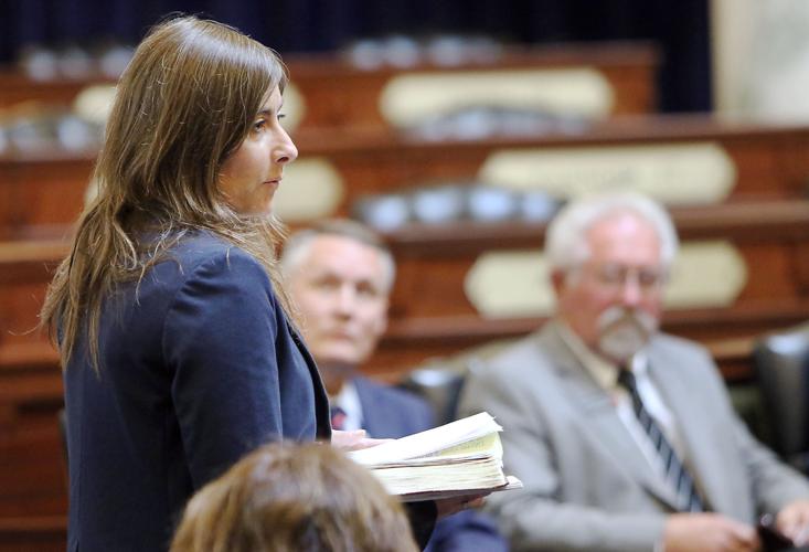 State Legislators unofficial Special Session