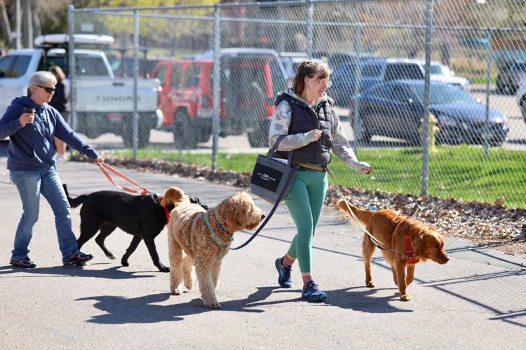 Photos of Run with the Big Dogs at Ross Park in Pocatello | Local ...