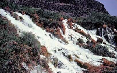 The Eastern Snake Plain Aquifer at Thousand Springs,