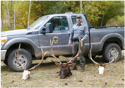 Elk