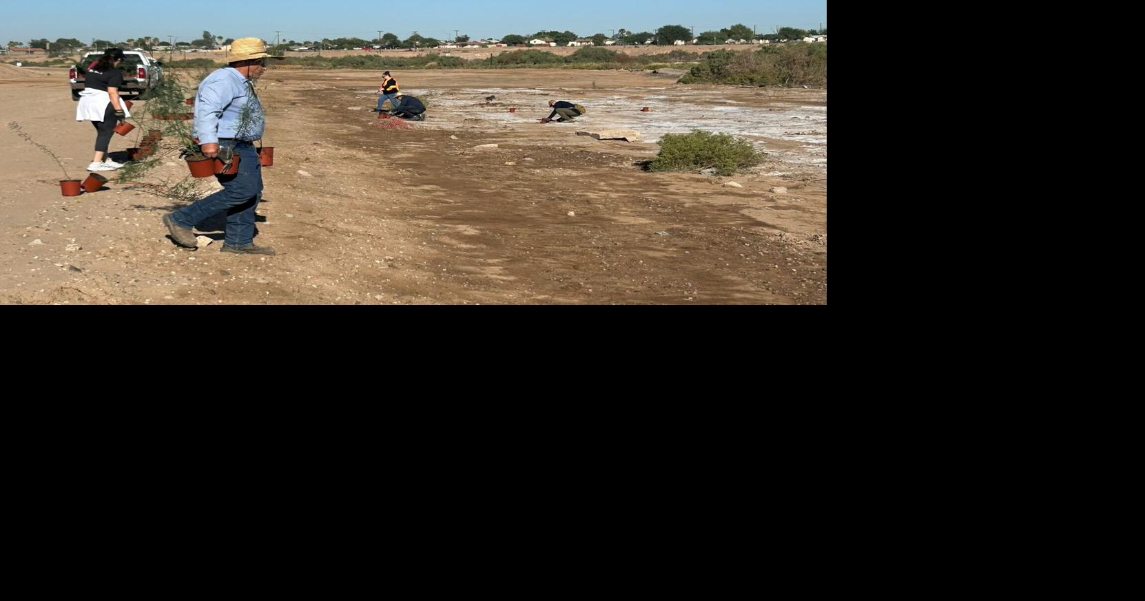 Volunteers help Calexico New River Wetlands grow with native plants
