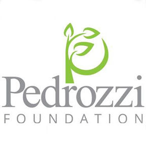 LOGO - Pedrozzi Foundation
