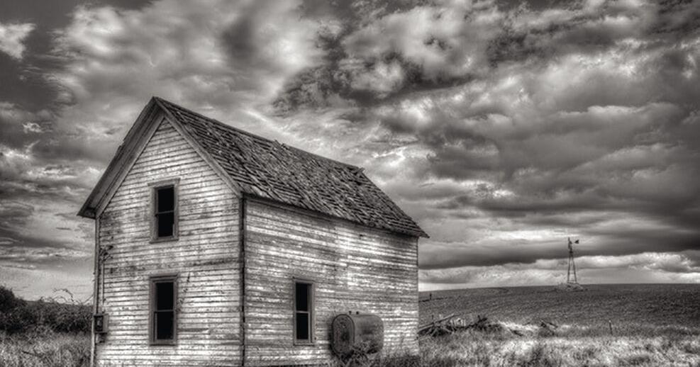 Livermore's Michael Fredrich Takes Top Honors at Alameda County Fair Photography Competition - Vimarsana News