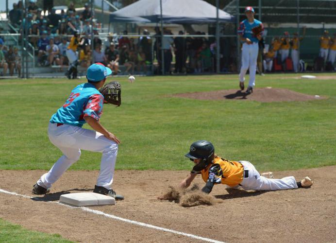 Bollinger Canyon Little League Could Qualify For The World Series