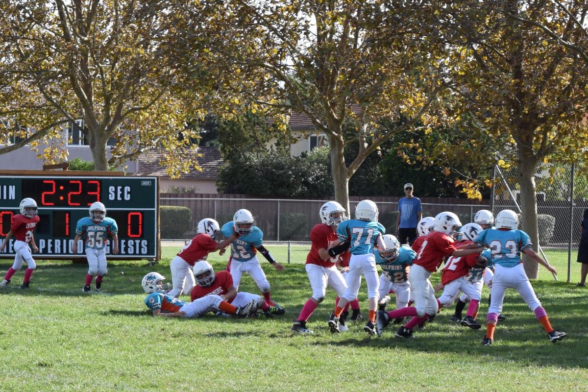Livermore Jr. Football Local Sports