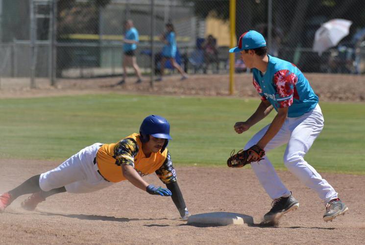 Bollinger Canyon Little League Could Qualify For The World Series