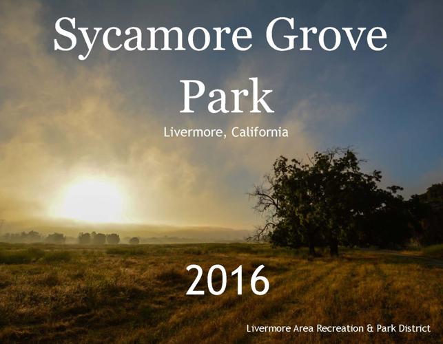 Calendar Features the Wonders of Sycamore Grove Park | Community News |  independentnews.com