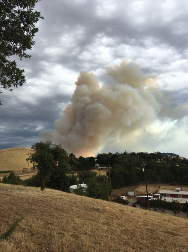 Protect Your Home in Wildfire-prone Communities - Vimarsana News
