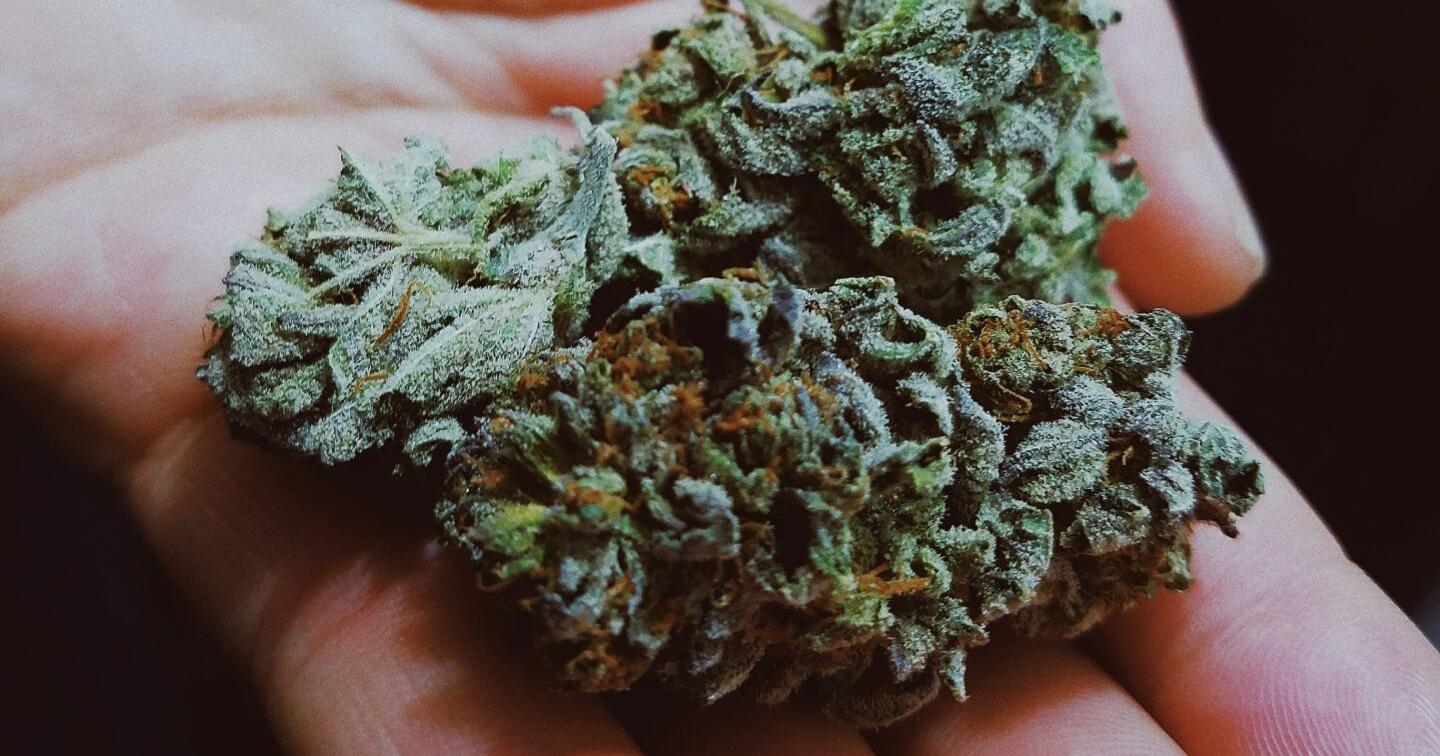 Cannabis Dispensary Robbed - Vimarsana News
