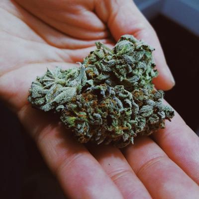 Marijuana Weed Cambridge Jenkins Unsplash.jpg