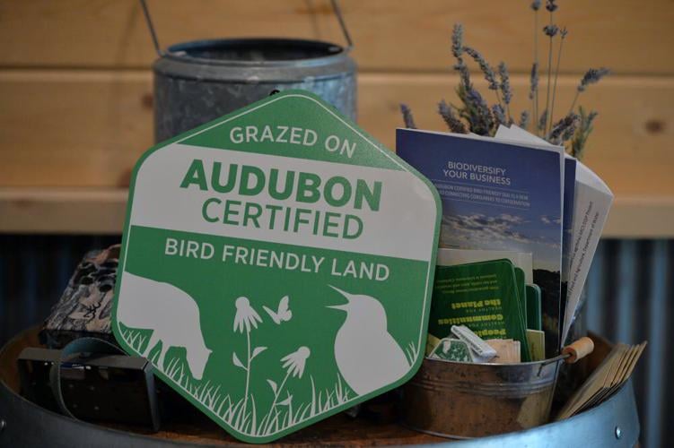 Historic Ranch Continues Legacy Of Agriculture and Conservation ...