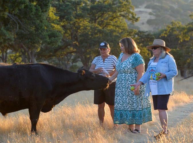 Calhon Ranch Historic Ranch Continues Legacy Of Agriculture and Conservation ...