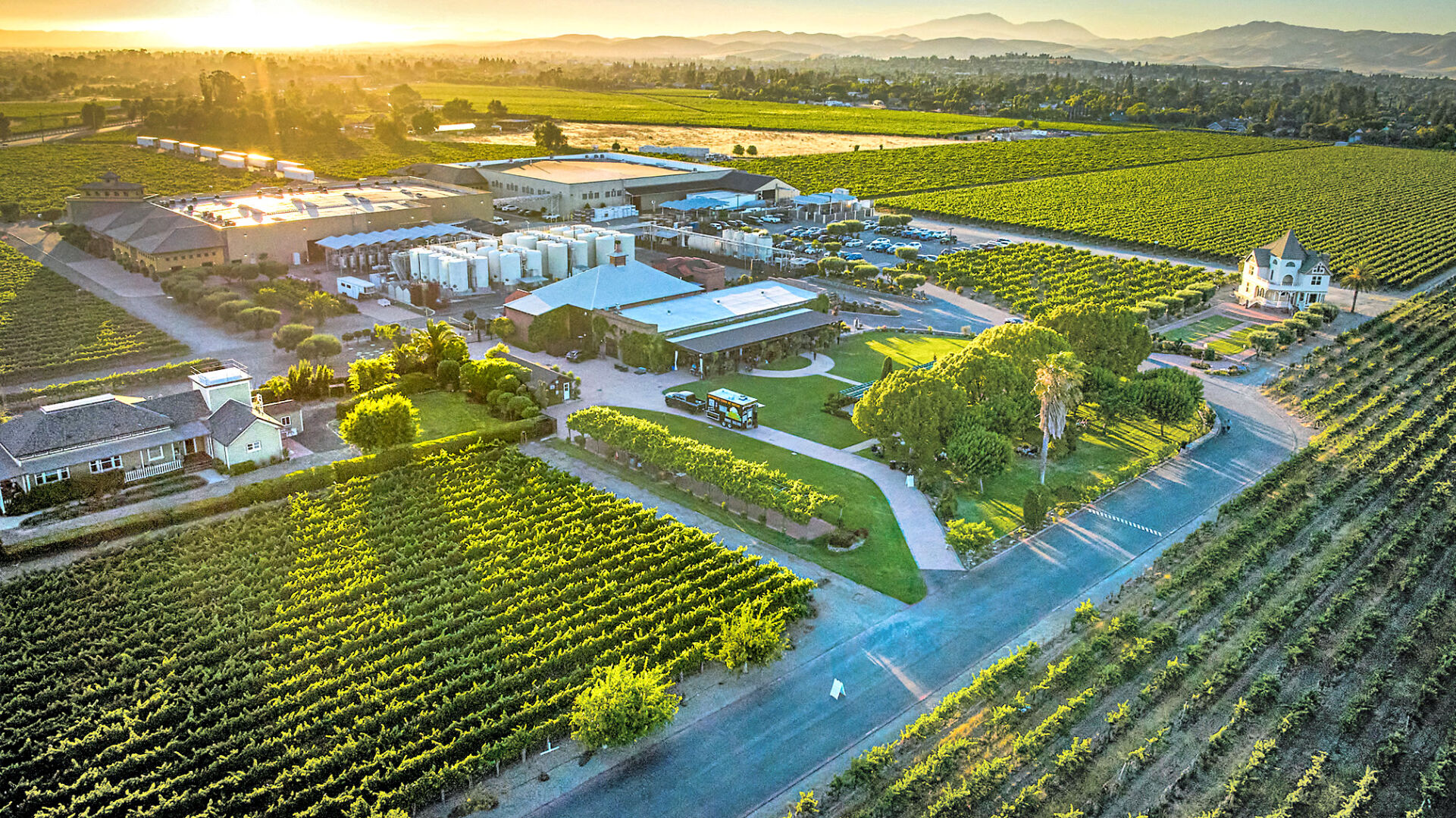 Concannon Begins Planting for the Future | Regional/CA News ...