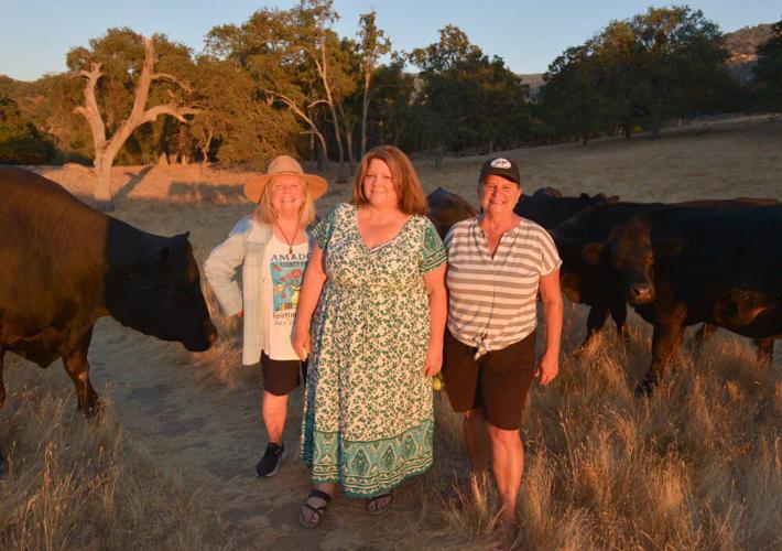 Calhon Ranch Historic Ranch Continues Legacy Of Agriculture and Conservation ...