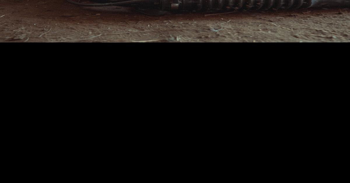 All Gas Leaf Blowers Banned in Pleasanton Pleasanton News