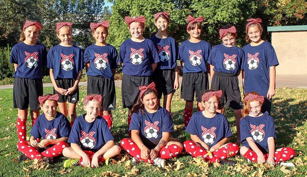 Livermore Fusion Soccer Club Local Sports