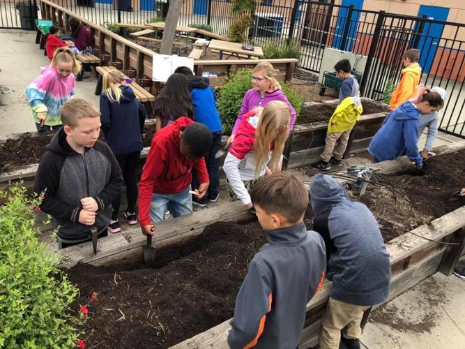 Altamont Creek Elementary School Earns Gold for Going Green News