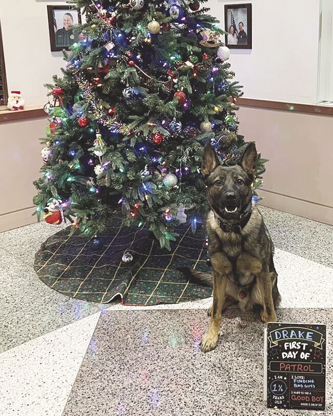 LPD Welcomes New Canine Member | Livermore News | Independentnews.com