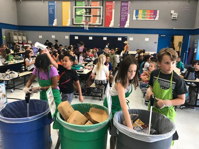 Altamont Creek Elementary School Earns Gold for Going Green News