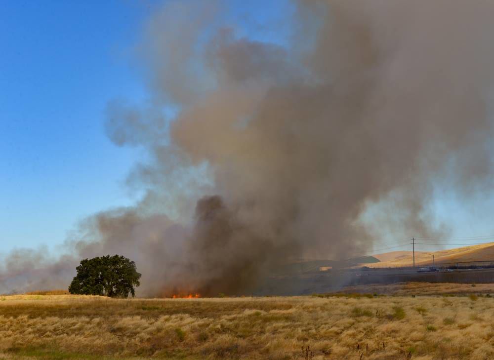 Fire Burned Grassland South of I580 | | independentnews.com