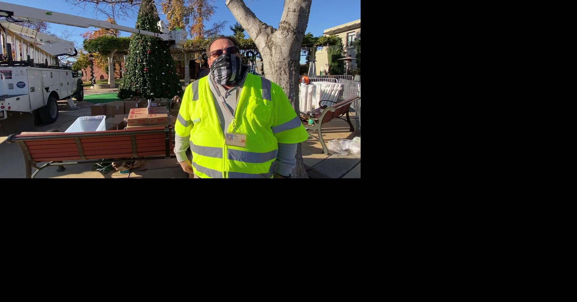 Livermore Tree Marks Start of Holiday Season News