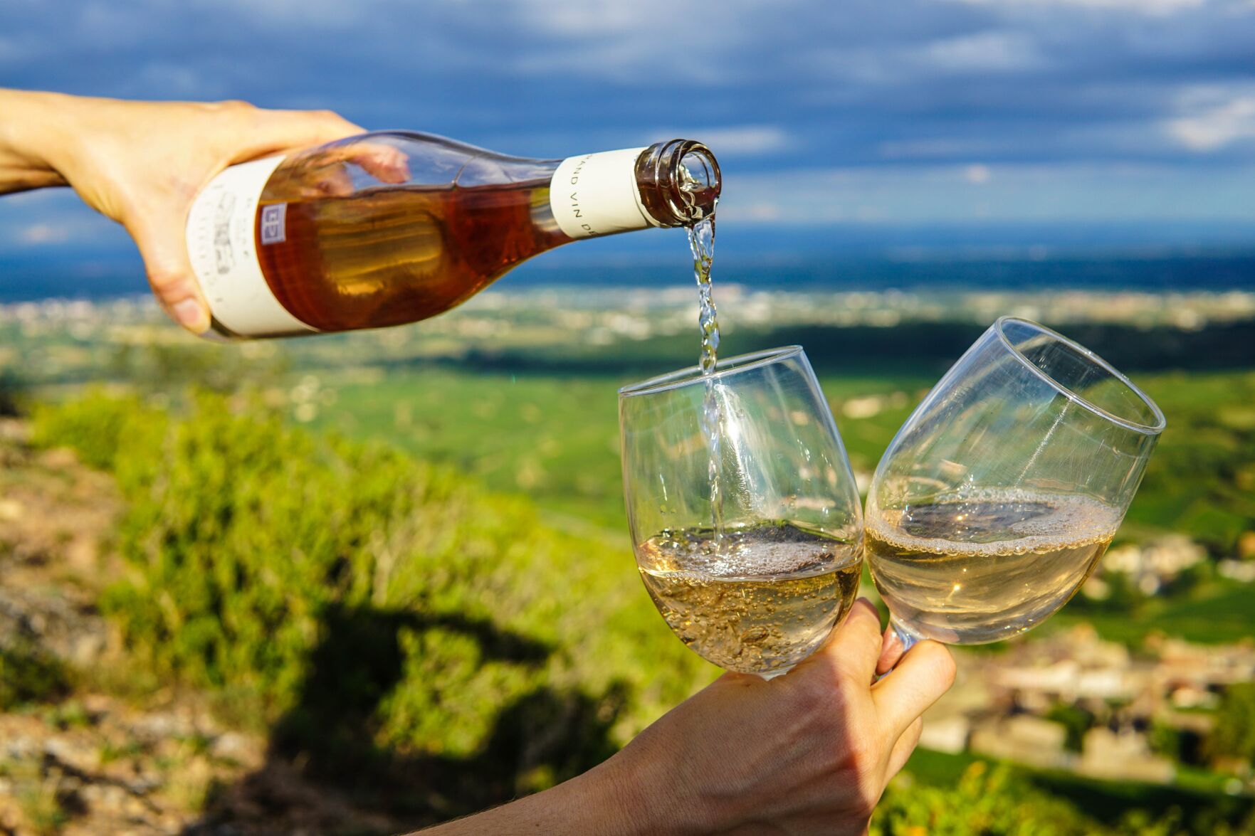Cuda Ridge to Release Second Carménère Vintage - Vimarsana News
