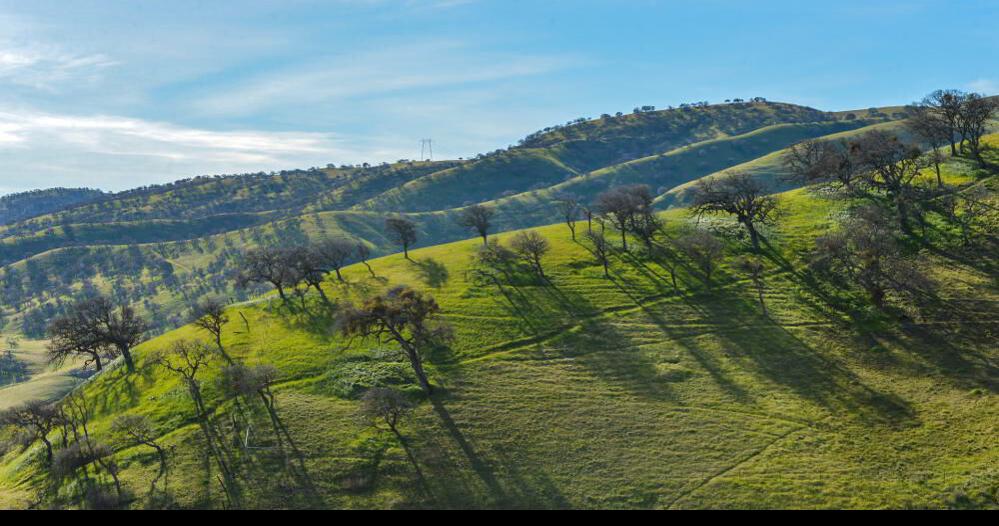 Support Remains Strong to Classify Tesla Park a Reserve, Limit Recreation Activities | Regional/CA News