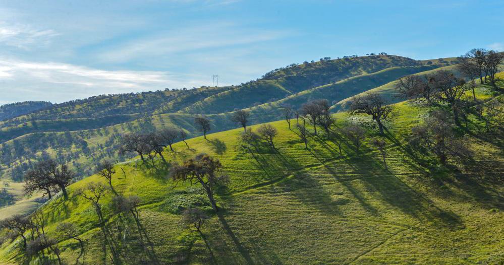 Support Remains Strong to Classify Tesla Park a Reserve, Limit Recreation Activities | Regional/CA News Support Remains Strong to Classify Tesla Park a Reserve, Limit Recreation Activities | Regional/CA News