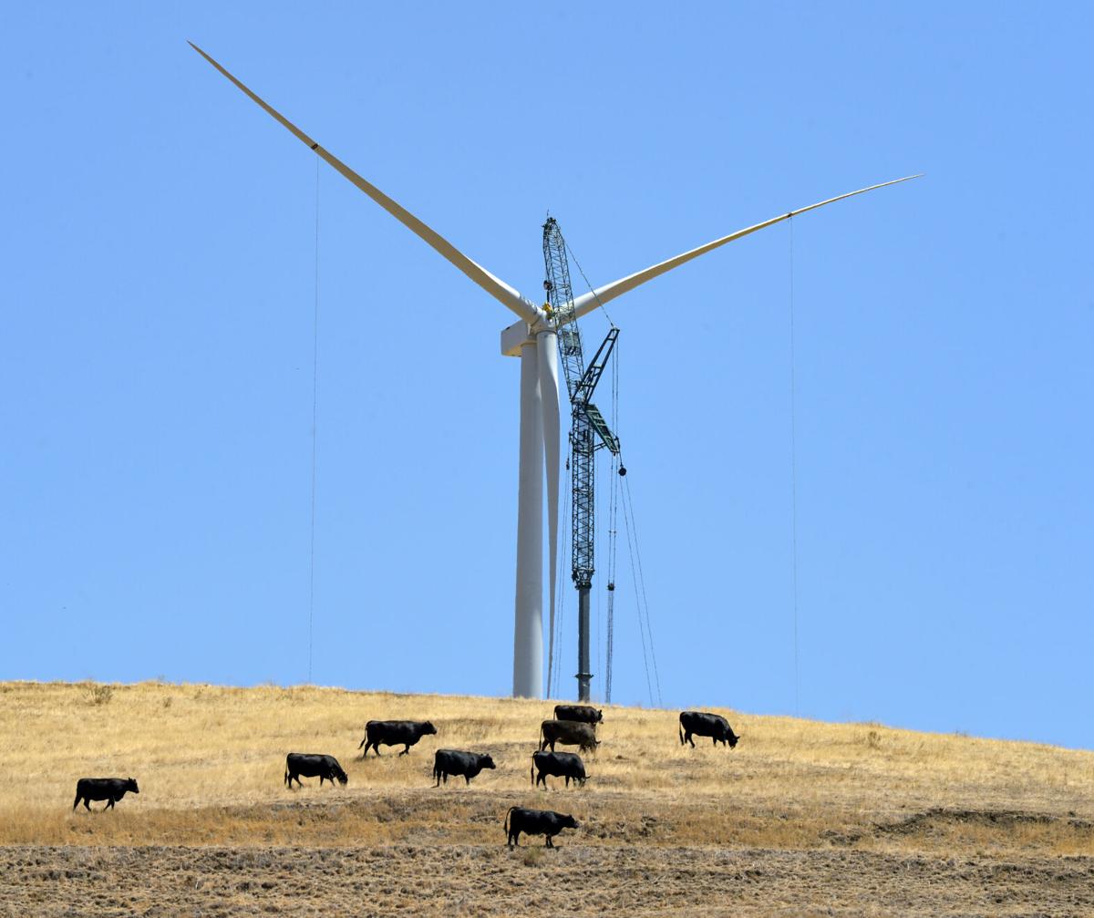 New Turbines In Altamont Pass Will Decrease Raptor Fatalities Livermore News Independentnews Com