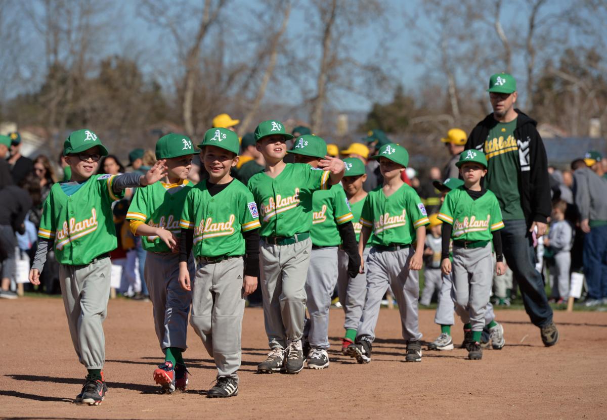 2020 Spring Little League TBall Season Starts in Livermore Sports