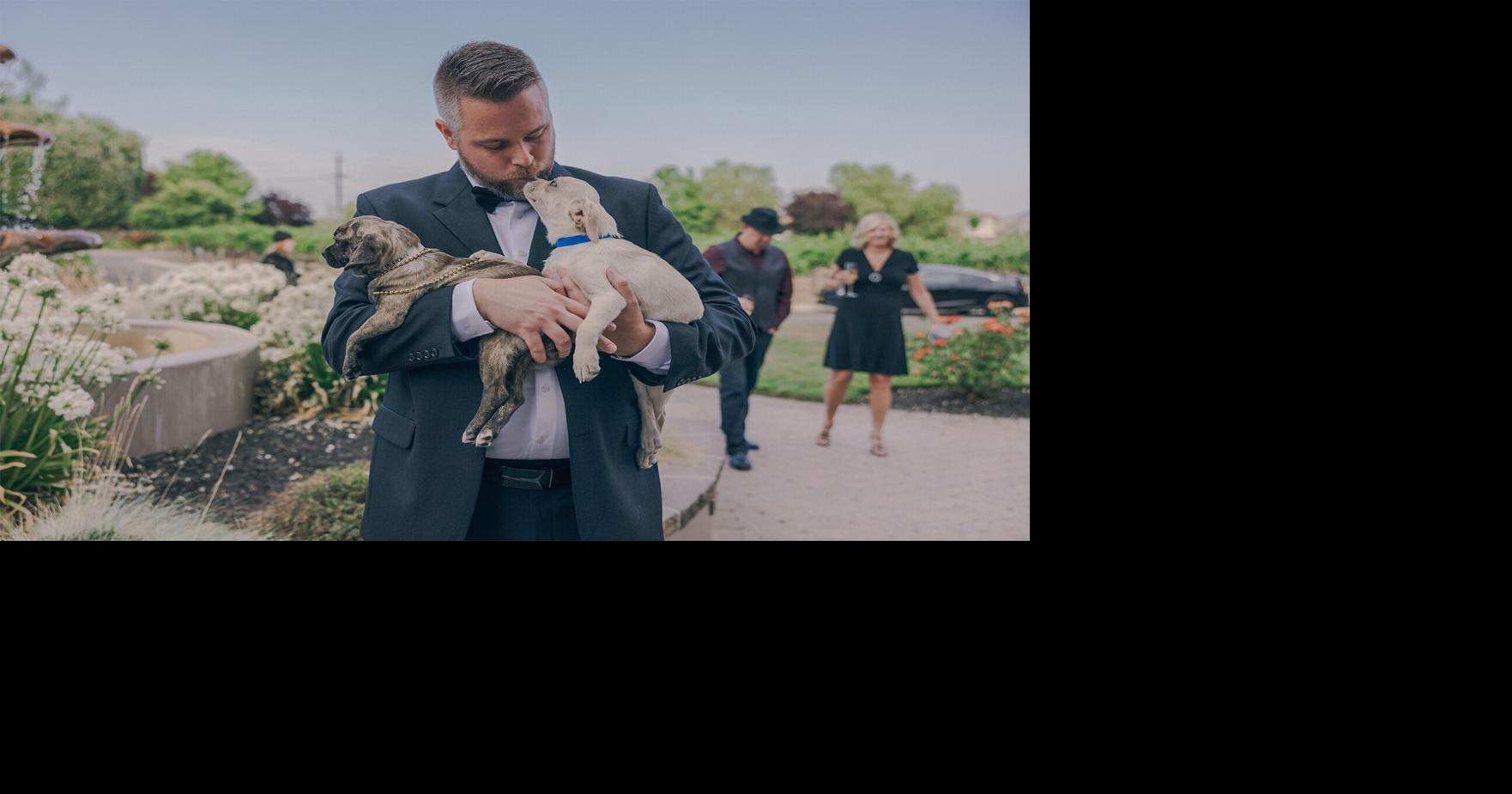 Valley Humane Is Set to Host Annual Fundraiser